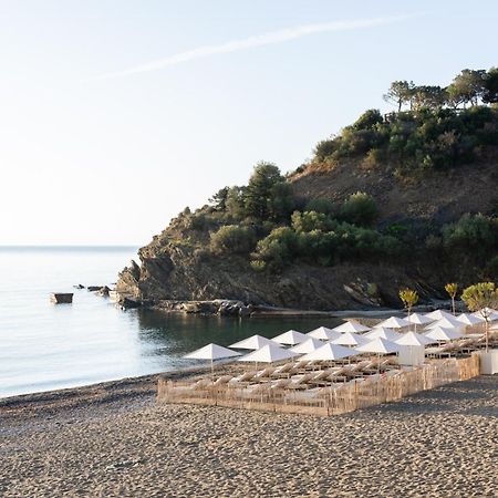 Les Elmes - Hotel, Spa & Plage Privee Банию-сюр-Мер Екстериор снимка